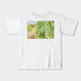 Okanagan Valley Grapevines and Blue Sky in Summer Kids T-Shirt